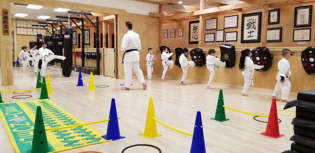 A group of people practicing martial arts in a gym.