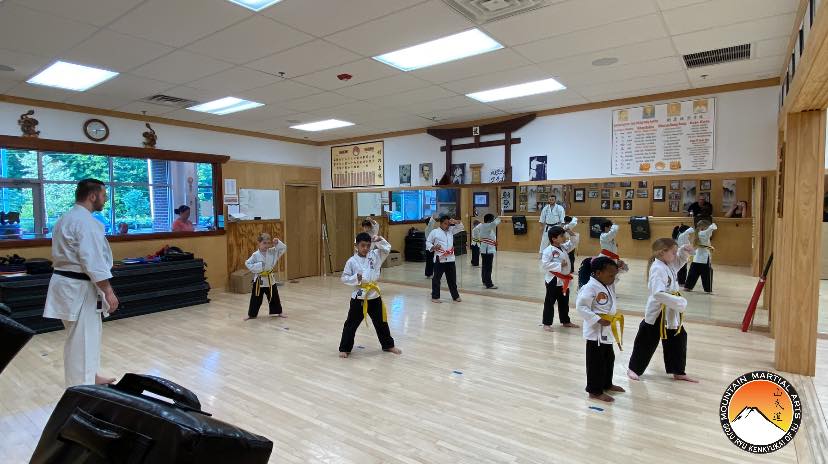 A group of young boys practicing martial arts in a gym.